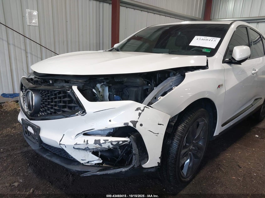 2019 Acura Rdx A-Spec Package VIN: 5J8TC1H66KL012613 Lot: 43460415