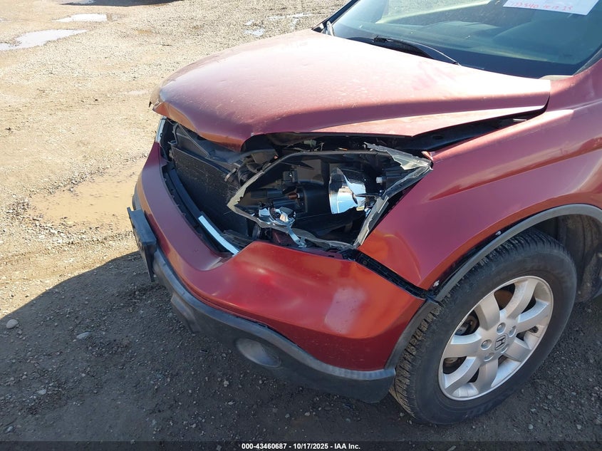2007 Honda Cr-V Ex-L VIN: JHLRE48777C069006 Lot: 43460687
