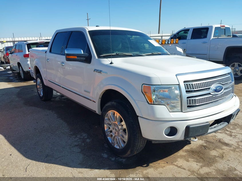 FORD F-150 PLATINUM