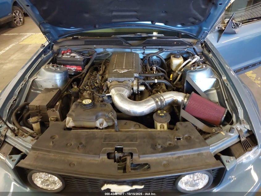 2007 Ford Mustang Gt Deluxe/Gt Premium VIN: 1ZVFT82H075224012 Lot: 43461677