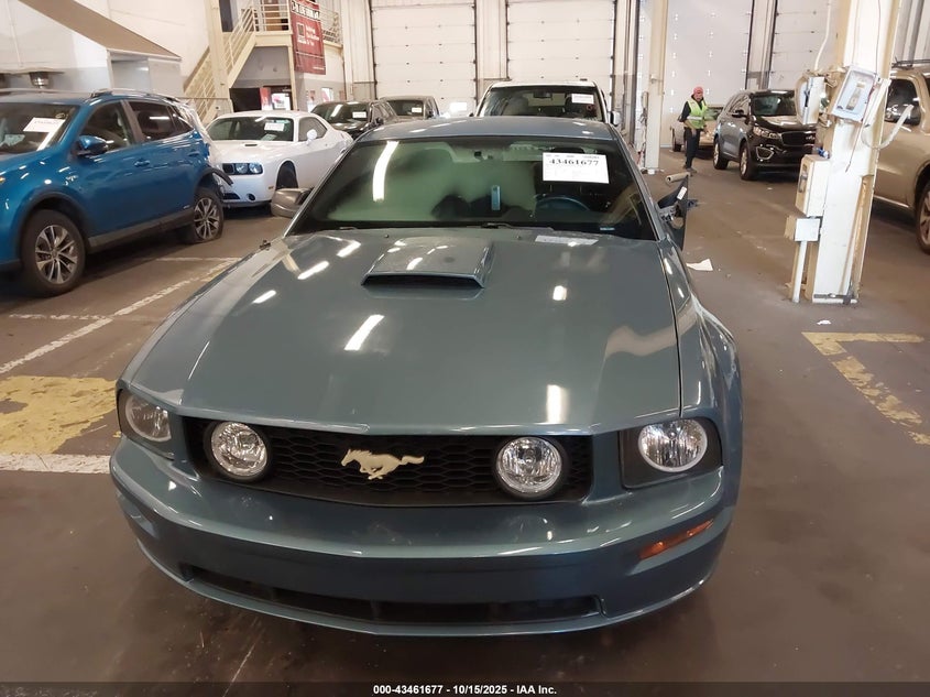 2007 Ford Mustang Gt Deluxe/Gt Premium VIN: 1ZVFT82H075224012 Lot: 43461677