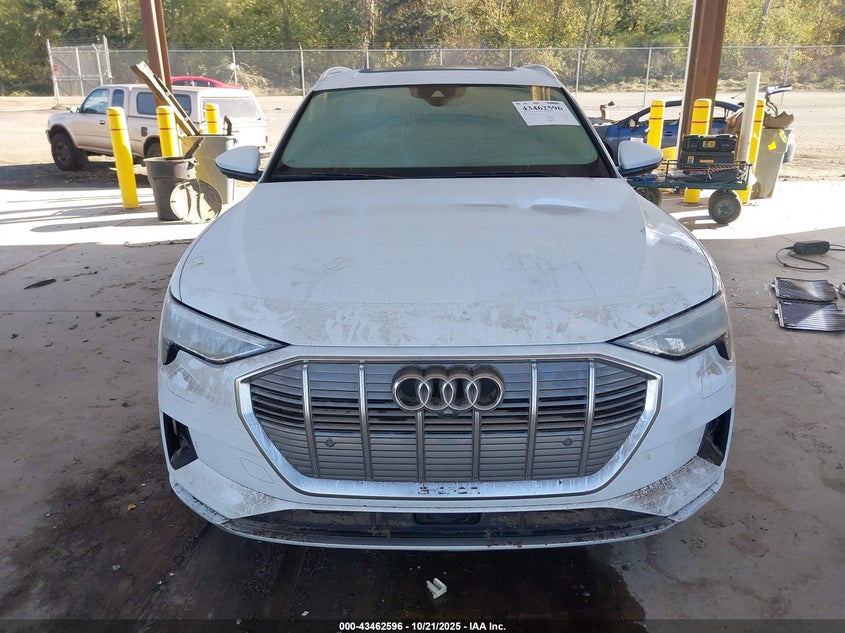 2019 Audi E-Tron Premium Plus VIN: WA1LABGE7KB015443 Lot: 43462596