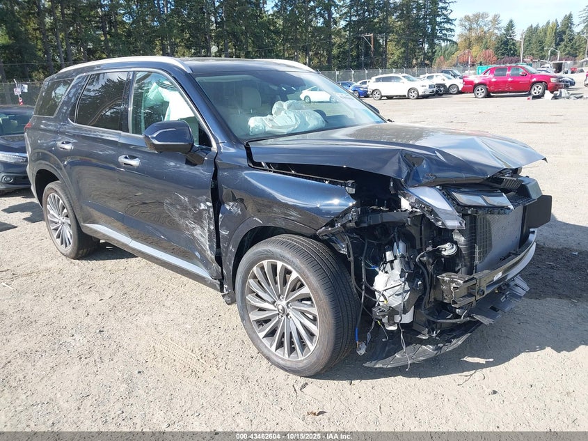 HYUNDAI PALISADE CALLIGRAPHY