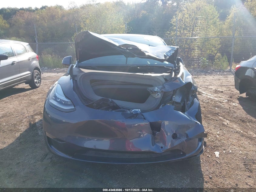 2023 Tesla Model Y Awd/Long Range Dual Motor All-Wheel Drive VIN: 7SAYGAEE1PF584206 Lot: 43463566