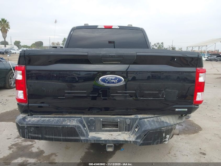 2023 Ford F-150 Xl VIN: 1FTEW1EP8PKE37159 Lot: 43463662
