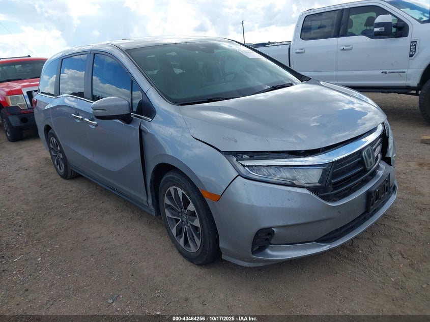 2024 HONDA ODYSSEY EX-L - 5FNRL6H62RB053517