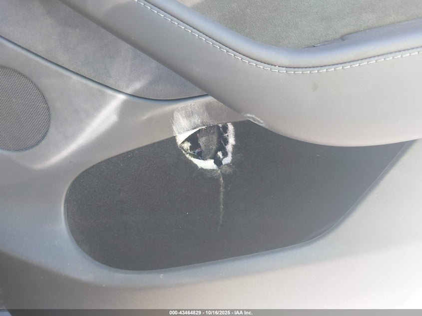 2025 Tesla Model Y Long Range Dual Motor Rear-Wheel Drive VIN: 7SAYGDED5SF248415 Lot: 43464829