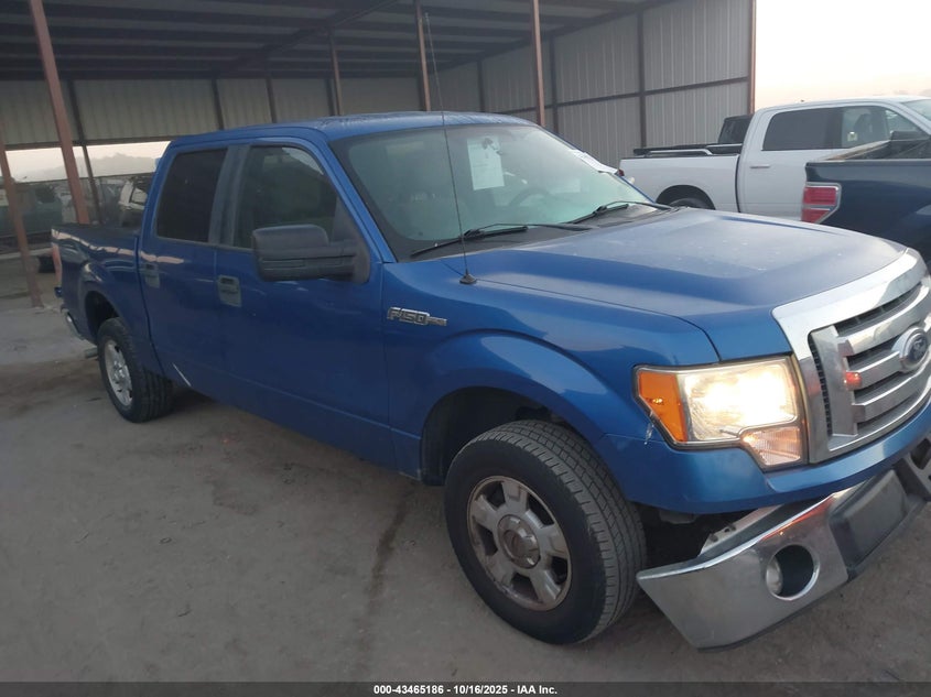 FORD F-150 XLT