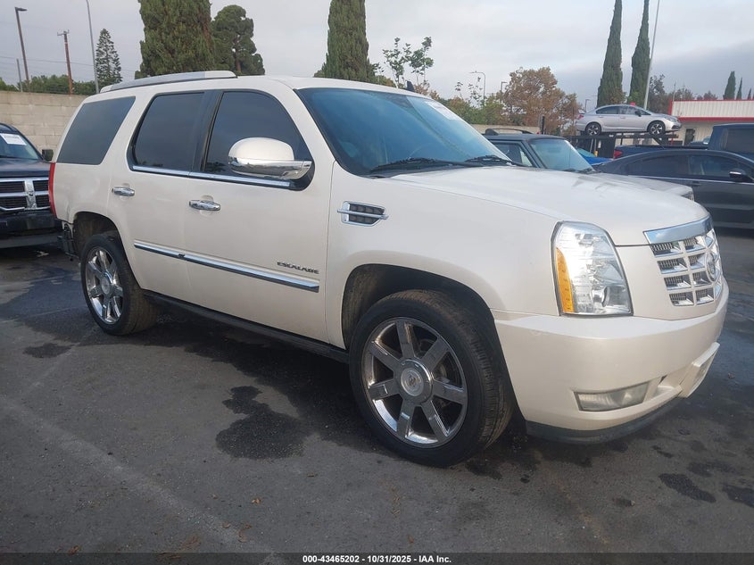 CADILLAC ESCALADE PREMIUM