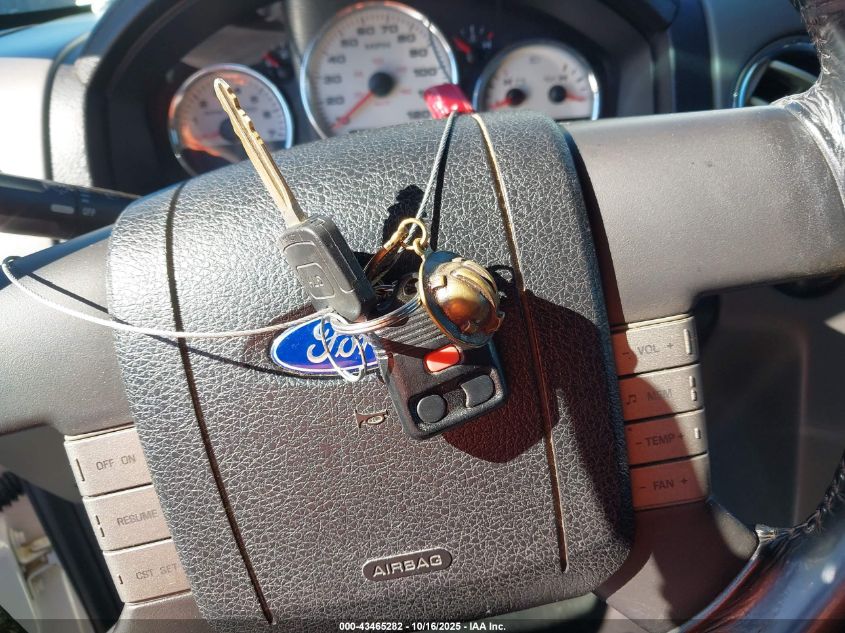 2004 Ford F-150 Lariat/Xlt VIN: 1FTPW12524KD48517 Lot: 43465282