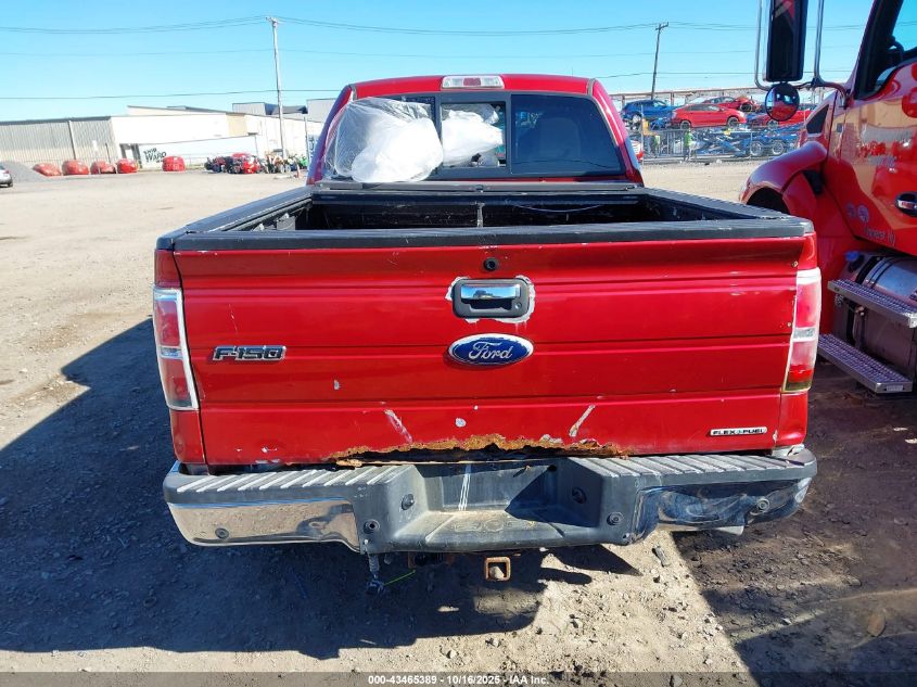 2011 Ford F-150 Xlt VIN: 1FTFW1EF8BFB50773 Lot: 43465389