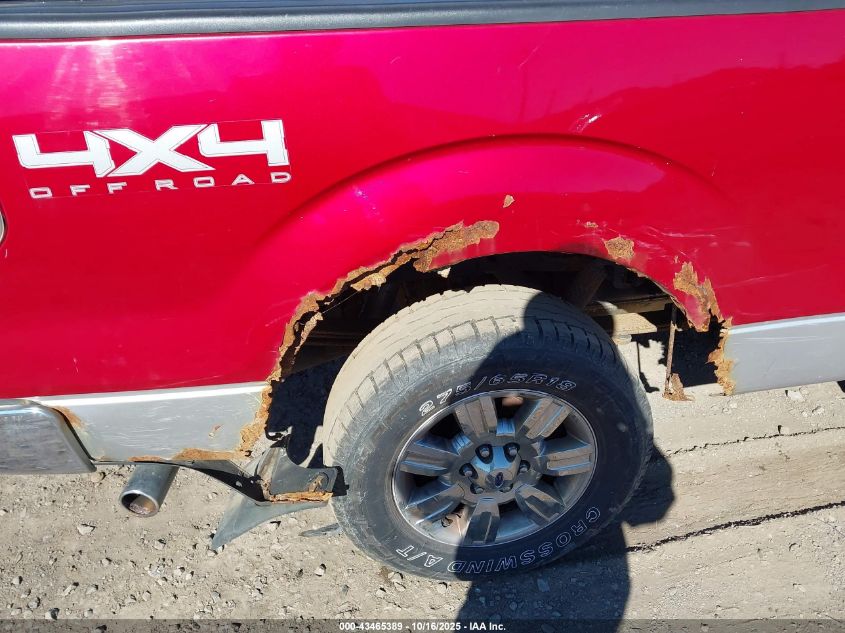 2011 Ford F-150 Xlt VIN: 1FTFW1EF8BFB50773 Lot: 43465389