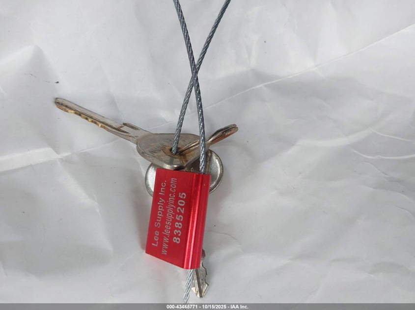 1142388969 1974 VOLKSWAGEN BEETLE photo no. 11