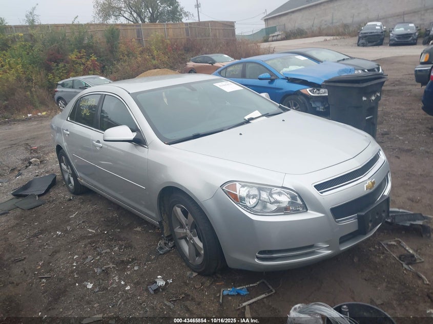 CHEVROLET MALIBU 1LT