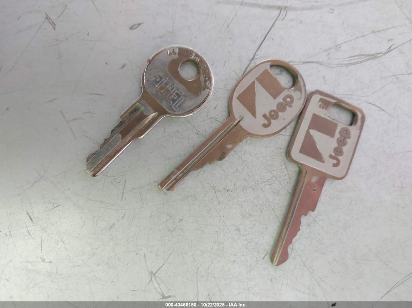 1987 Jeep Cherokee Pioneer VIN: 1JCML7825HT021216 Lot: 43466150