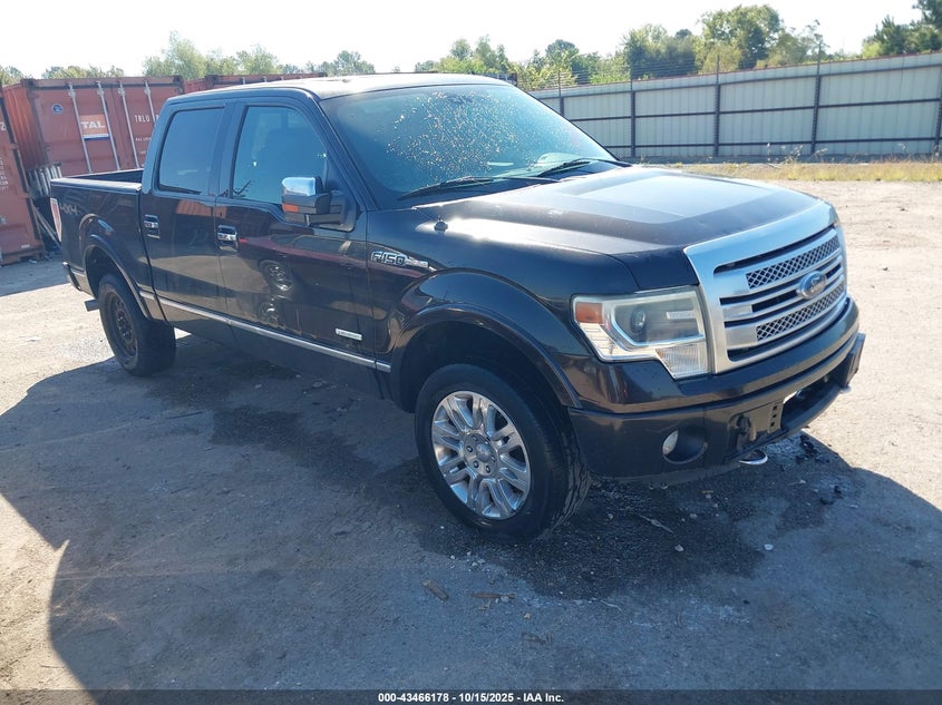 FORD F-150 PLATINUM