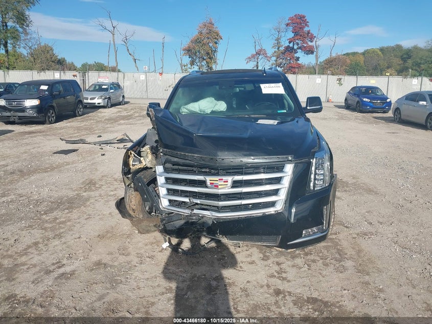 2019 CADILLAC ESCALADE LUXURY 1GYS4BKJXKR363218
