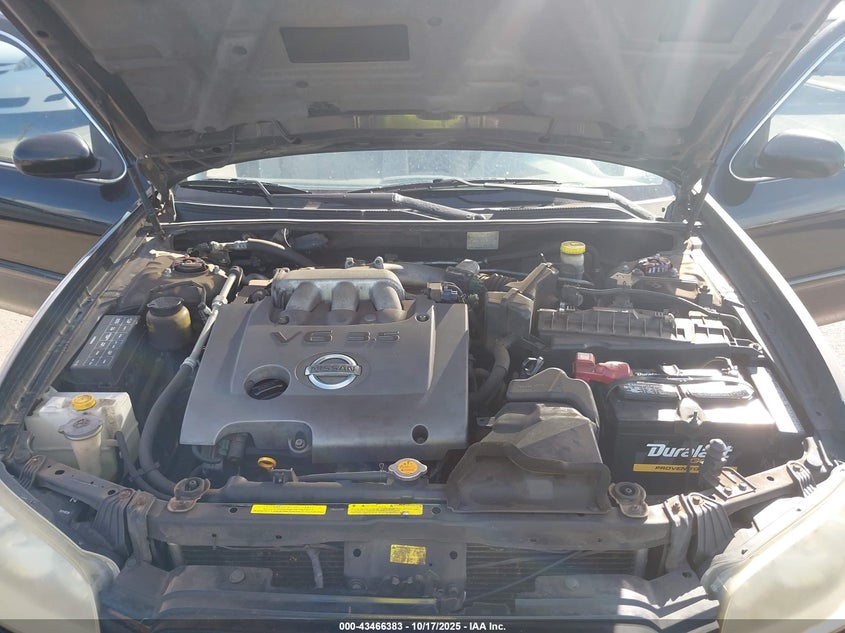 2003 Nissan Maxima Se VIN: JN1DA31D83T505551 Lot: 43466383