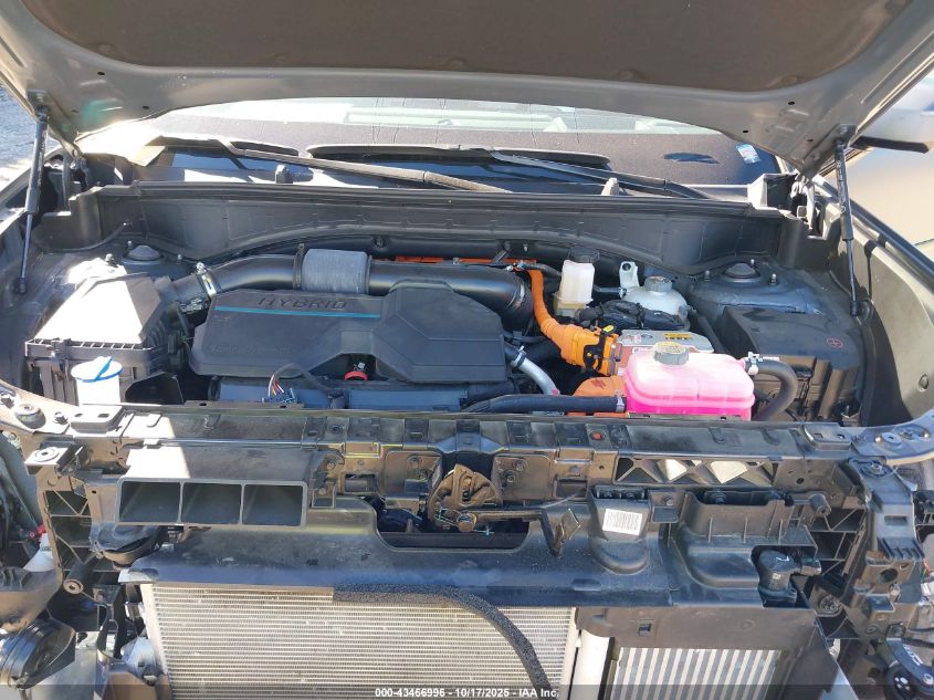 2025 Hyundai Santa Fe Hybrid Calligraphy VIN: 5NMP5DG10SH024646 Lot: 43466996