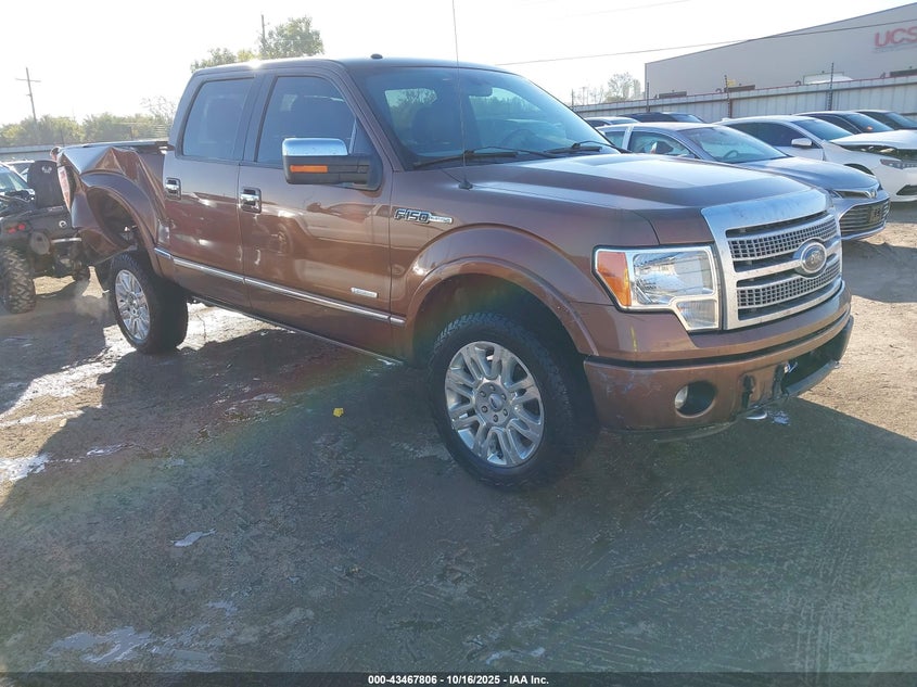 FORD F-150 PLATINUM