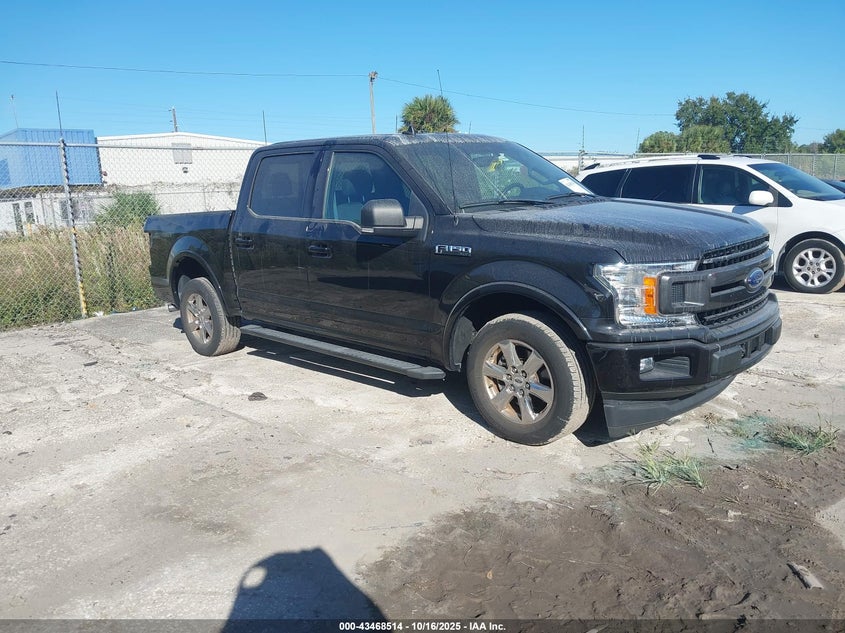 FORD F-150 XLT