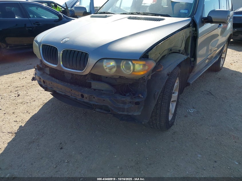 2005 BMW X5 3.0I VIN: 5UXFA13545LY19702 Lot: 43468919