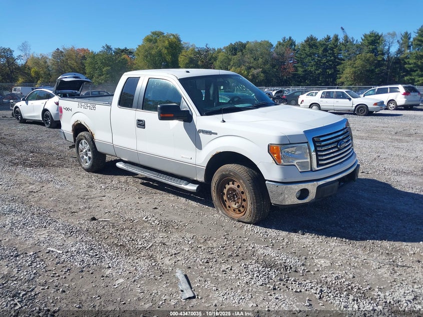 FORD F-150 XLT