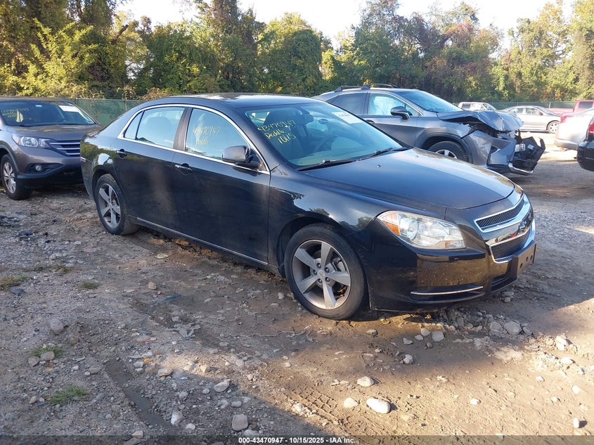 CHEVROLET MALIBU 1LT