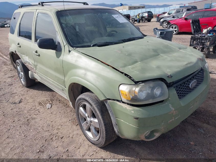 2007 Ford Escape Limited VIN: 1FMYU94137KA10126 Lot: 43471475