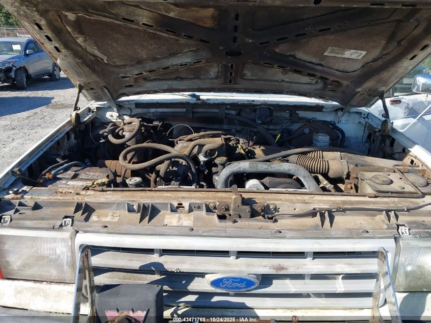 1991 Ford F150 VIN: 1FTDF15Y2MNA10655 Lot: 43471768