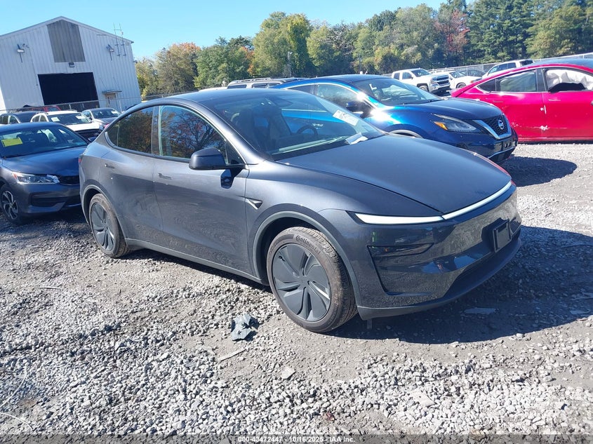 TESLA MODEL Y MODEL Y
