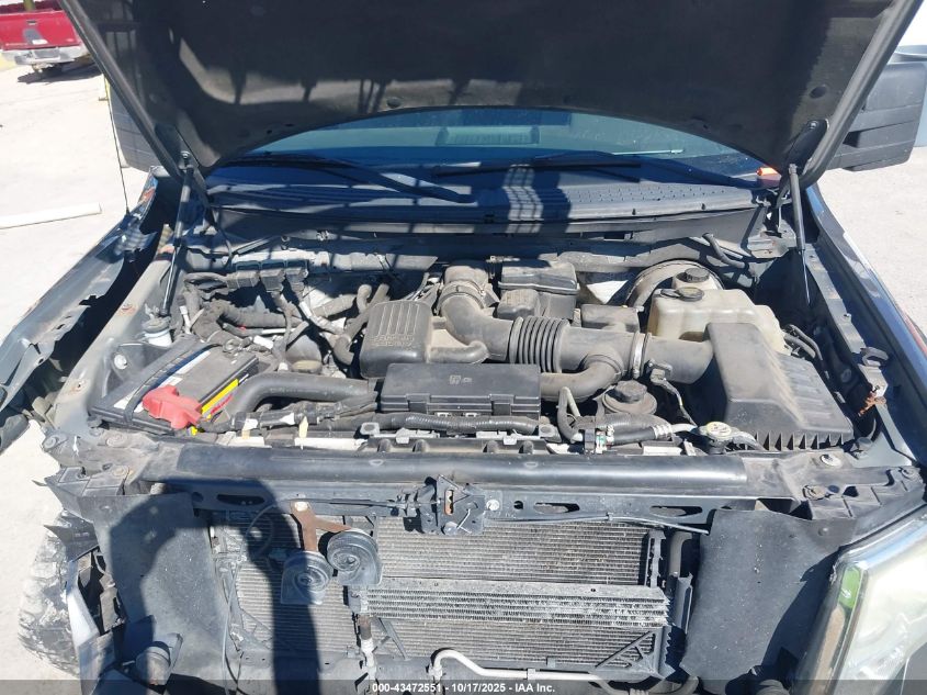 2009 Ford F-150 Fx4/Lariat/Xl/Xlt VIN: 1FTPX14V89FB12335 Lot: 43472551