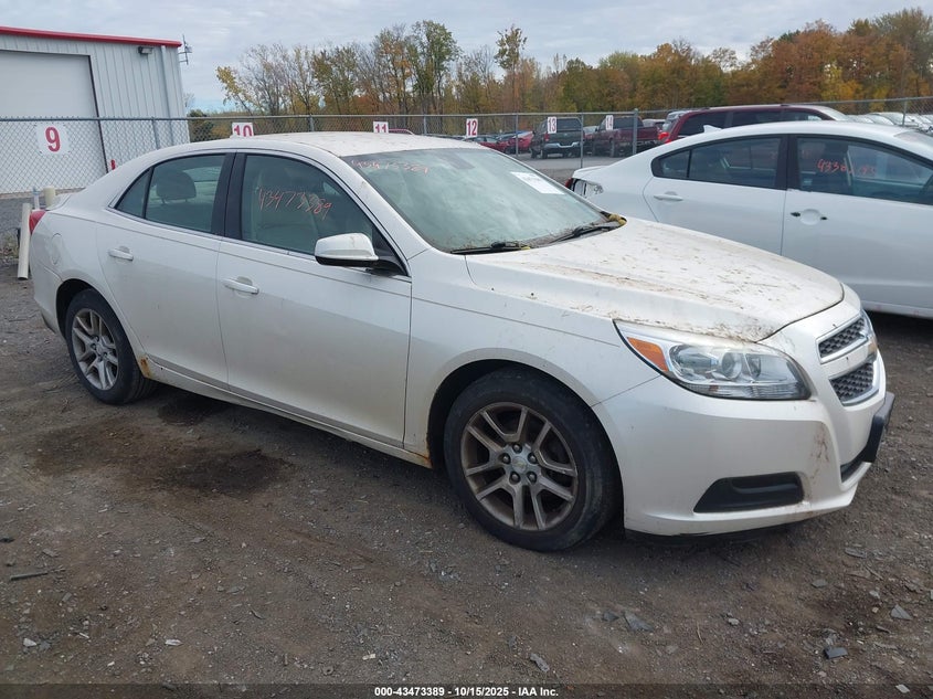 CHEVROLET MALIBU ECO
