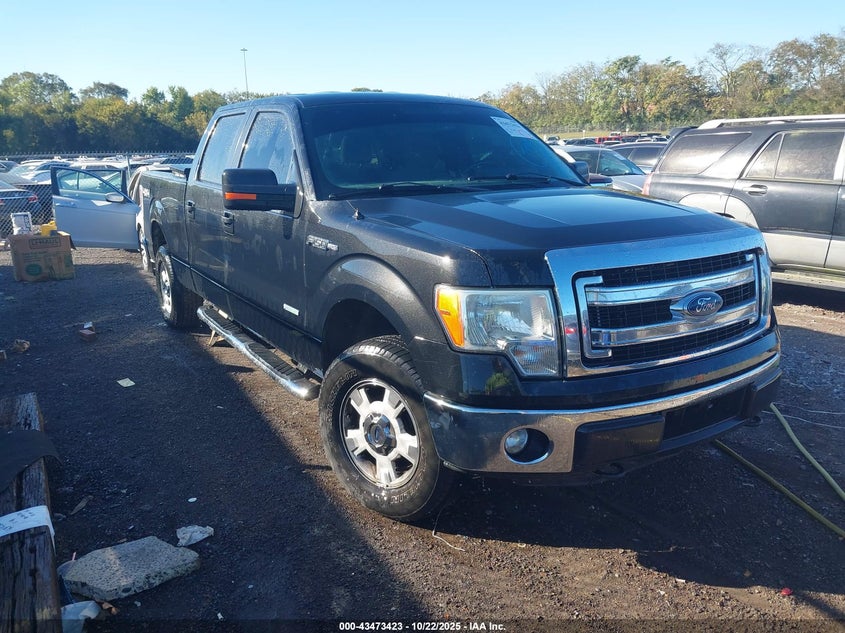 FORD F-150 XLT