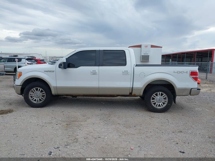 2009 Ford F-150 Fx4/King Ranch/Lariat/Platinum/Xl/Xlt VIN: 1FTPW14V09FA31039 Lot: 43473445