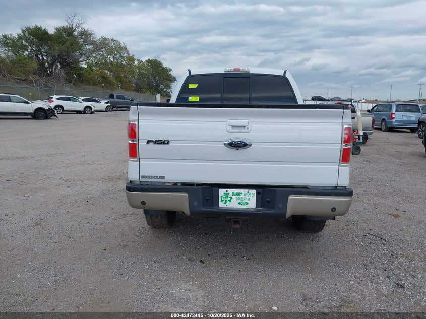 2009 Ford F-150 Fx4/King Ranch/Lariat/Platinum/Xl/Xlt VIN: 1FTPW14V09FA31039 Lot: 43473445