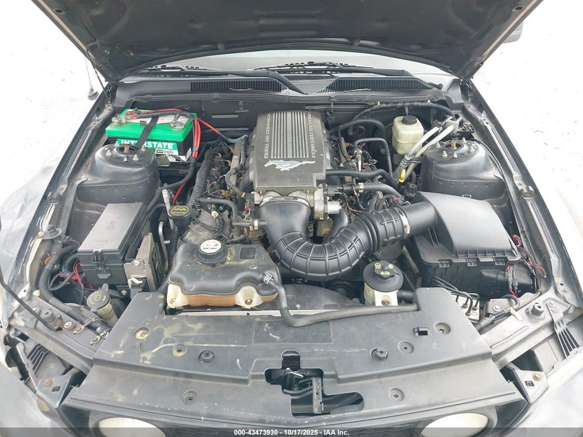 2007 Ford Mustang Gt Deluxe/Gt Premium VIN: 1ZVFT82H775208115 Lot: 43473930