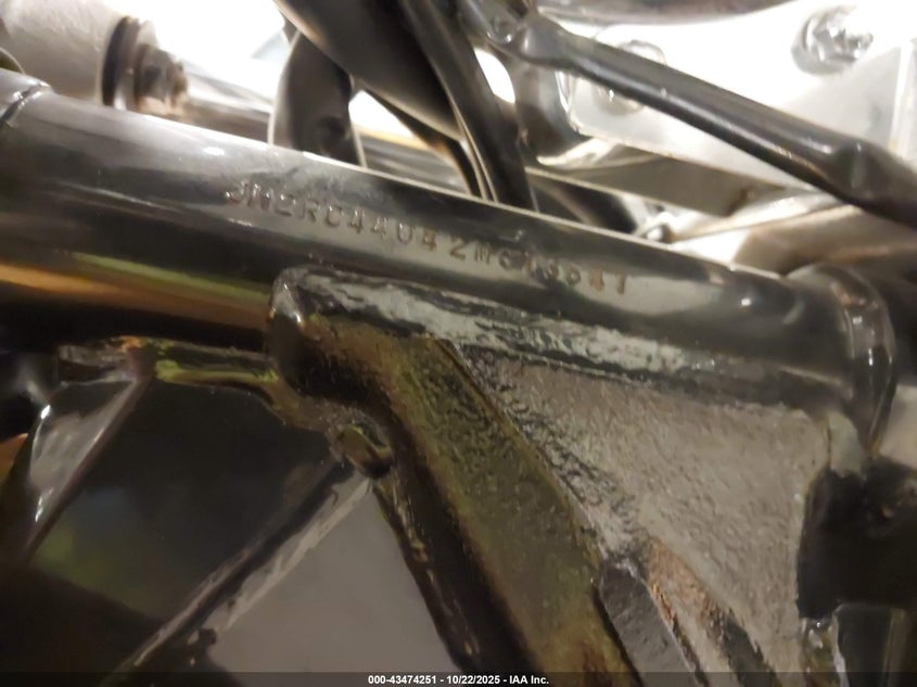 2002 Honda Vt750 Dc VIN: JH2RC44042M613547 Lot: 43474251