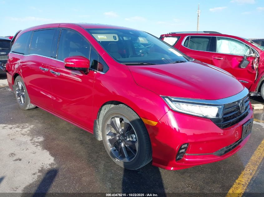 HONDA ODYSSEY ELITE