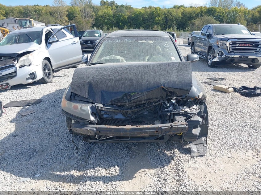 2008 Acura Tsx VIN: JH4CL96858C019156 Lot: 43476285