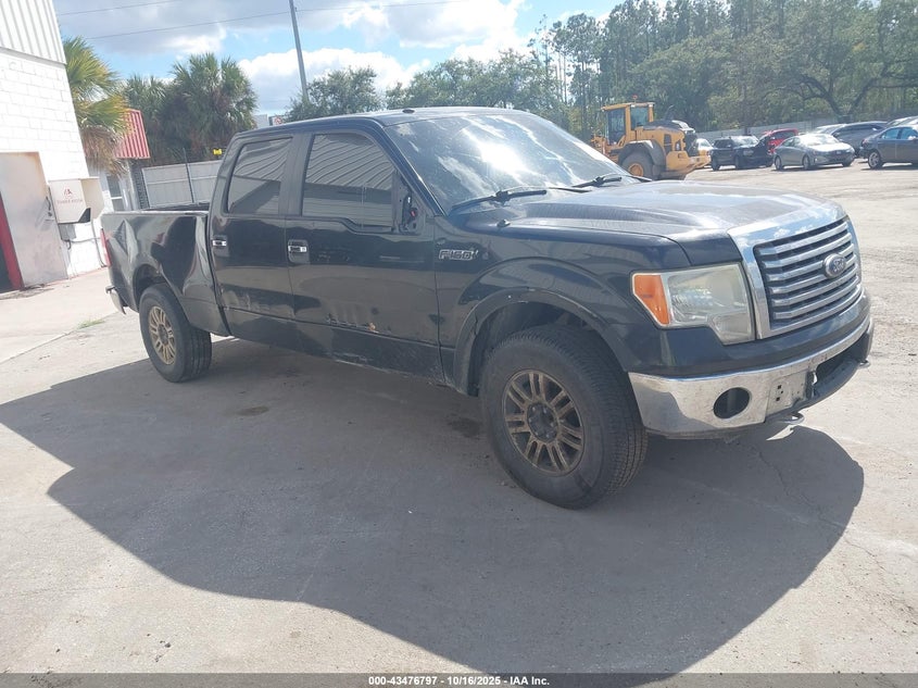 FORD F-150 FX4/HARLEY-DAVIDSON/KING RANCH/LARIAT/PLATINUM/XL/XLT