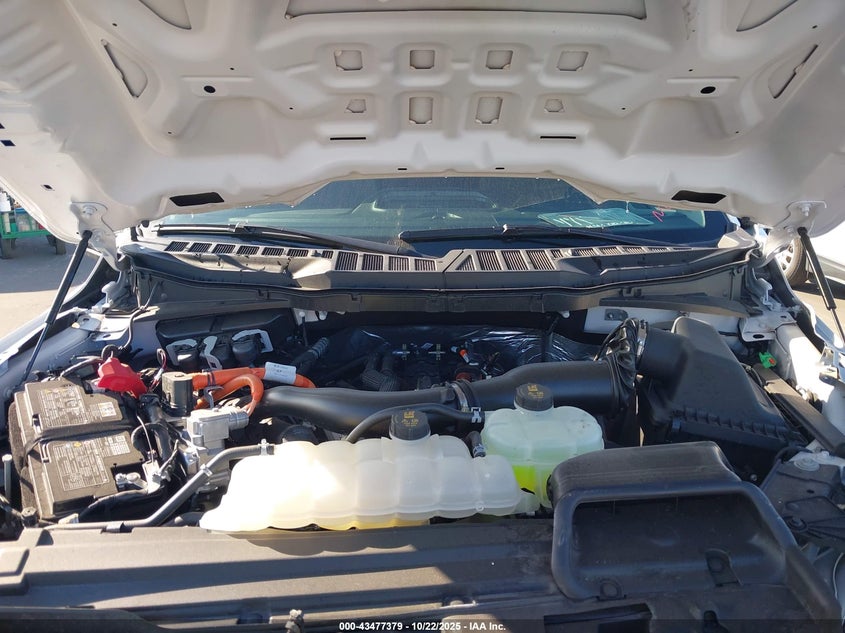 2025 FORD F-150 XL HYBRID 1FTFW1FD8SFA63369