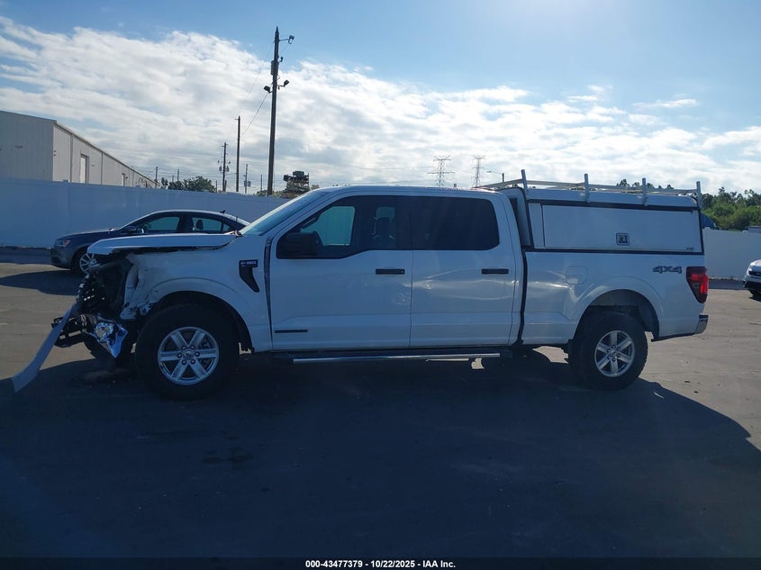 2025 FORD F-150 XL HYBRID 1FTFW1FD8SFA63369