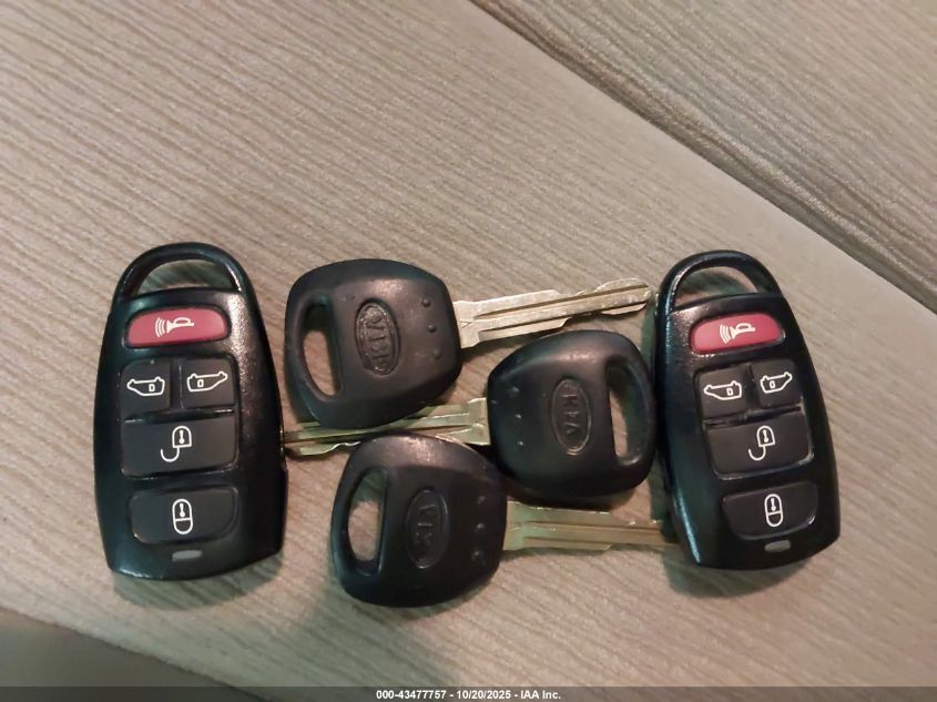 2009 Kia Sedona Lx VIN: KNDMB233X96315492 Lot: 43477757