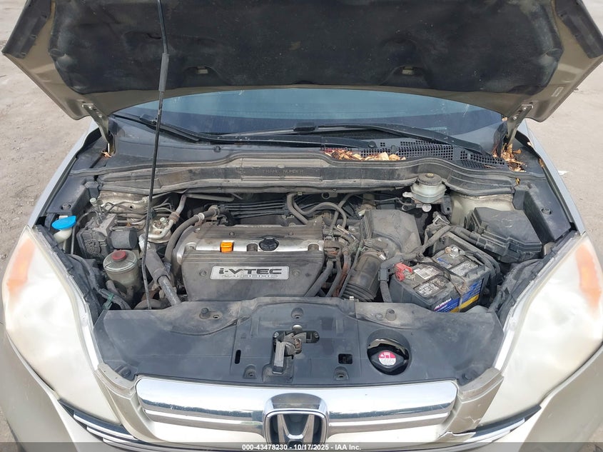 JHLRE48547C086019 2007 HONDA CR-V photo no. 10
