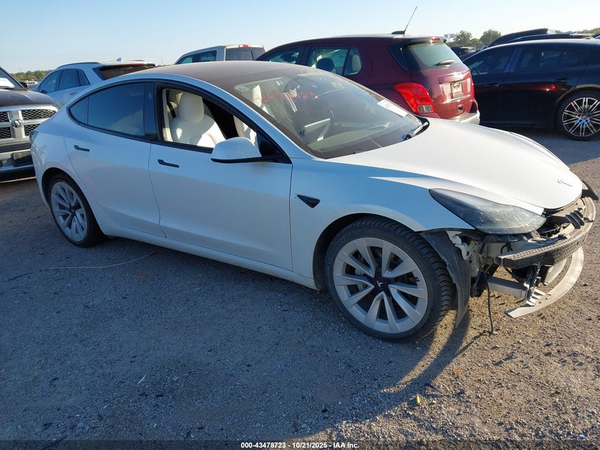 2023 TESLA MODEL 3 REAR-WHEEL DRIVE - 5YJ3E1EA1PF384209