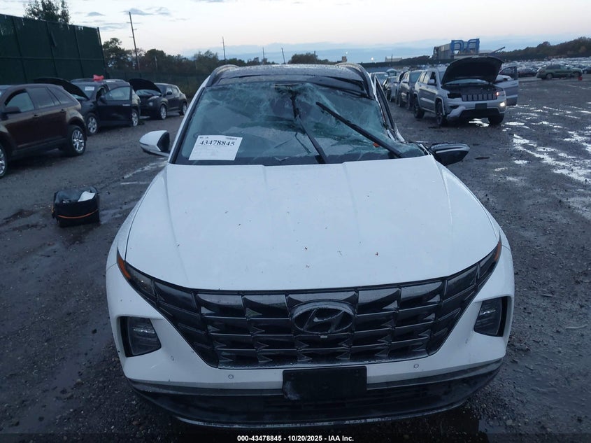 2023 HYUNDAI TUCSON LIMITED 5NMJECAEXPH265620