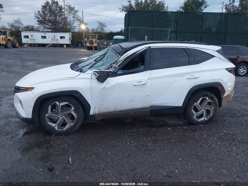 2023 HYUNDAI TUCSON LIMITED 5NMJECAEXPH265620