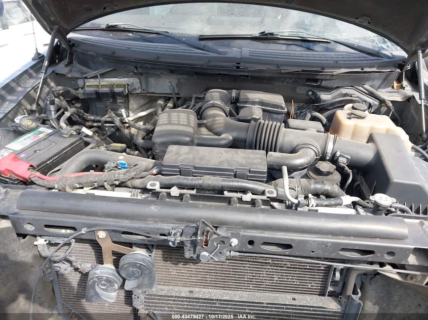 2010 Ford F-150 Fx4/Harley-Davidson/King Ranch/Lariat/Platinum/Xl/Xlt VIN: 1FTFW1EV3AFA13990 Lot: 43479427