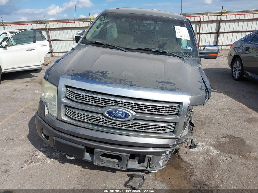 2010 Ford F-150 Fx4/Harley-Davidson/King Ranch/Lariat/Platinum/Xl/Xlt VIN: 1FTFW1EV3AFA13990 Lot: 43479427